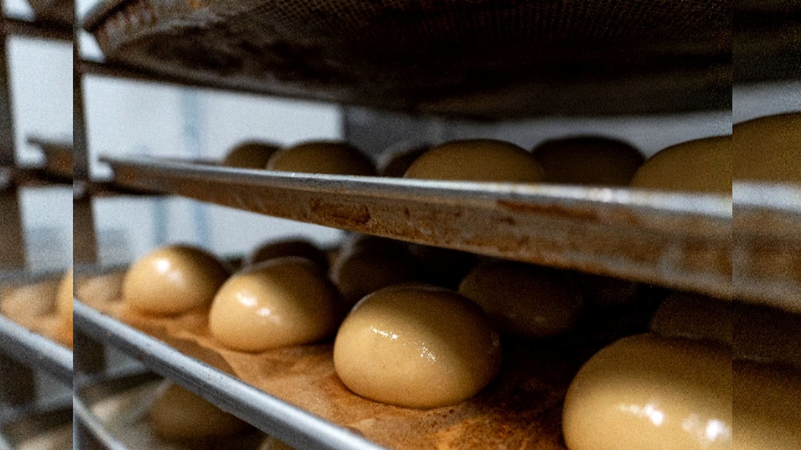 Proceso de amasado